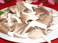 17c吃瓜黑料蘑菇一起草,蘑菇与草的神秘邂逅