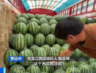 512吃瓜网,揭秘娱乐圈最新热点，带你畅游八卦海洋