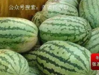 吃瓜网的新网站叫什么名字,探索网络世界的瓜田新篇章