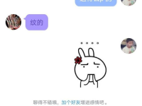 qq群免费吃网红的瓜,揭秘QQ群免费吃网红瓜的奥秘